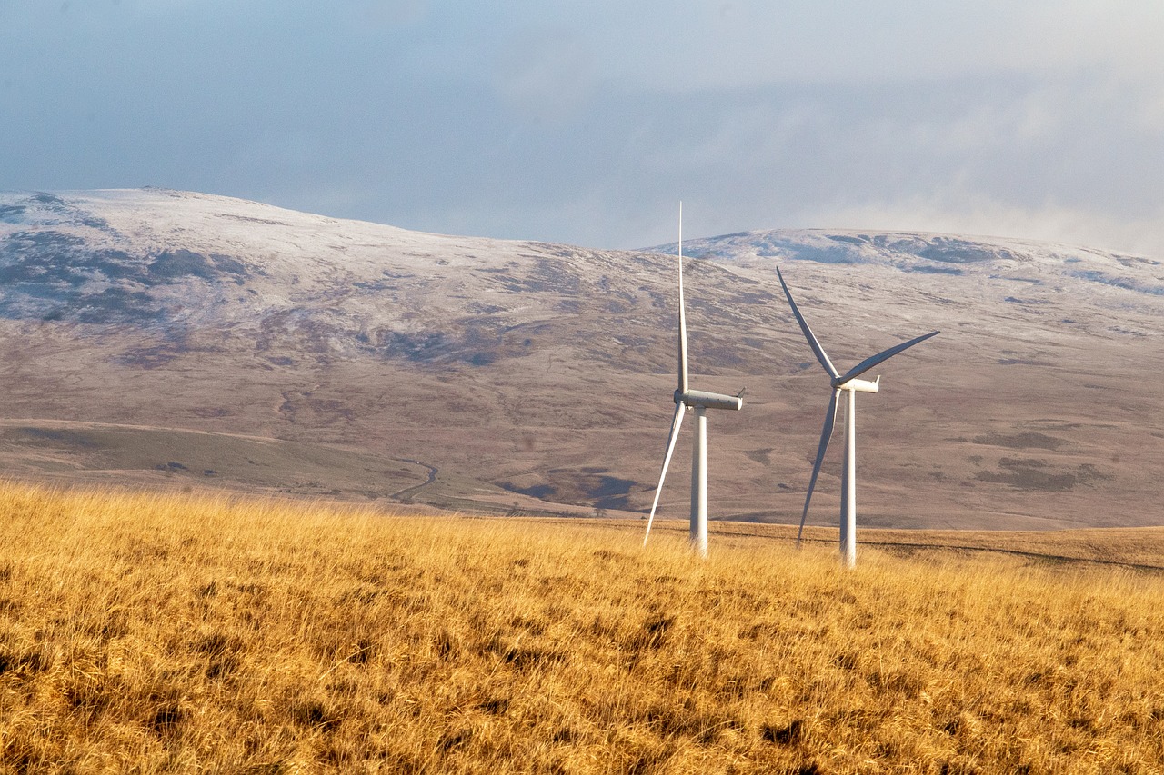 erfahren sie alles über erneuerbare energien: definition, vorteile, aktuelle entwicklungen und wie sie zur nachhaltigen energiezukunft beitragen. bleiben sie informiert über solar-, wind- und andere grüne energiequellen.