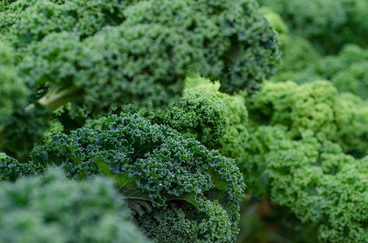 entdecken sie die welt der superfoods! erfahren sie, welche gesunden lebensmittel besonders nährstoffreich sind, wie superfoods ihre ernährung bereichern können und erhalten sie wertvolle tipps zu auswahl und zubereitung.