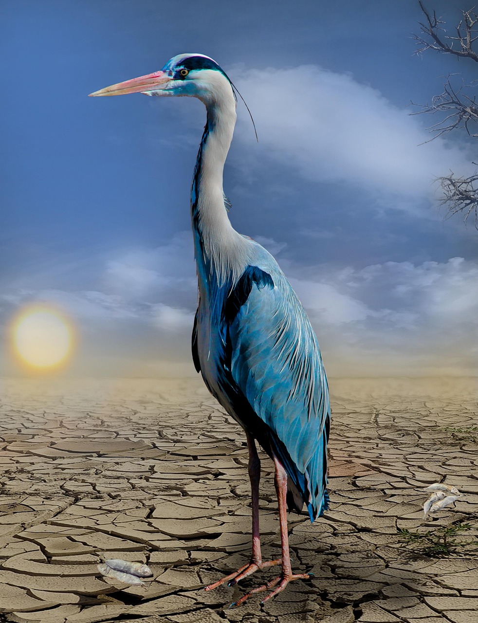 Was bedeutet der Klimawandel für die deutsche Wirtschaft?