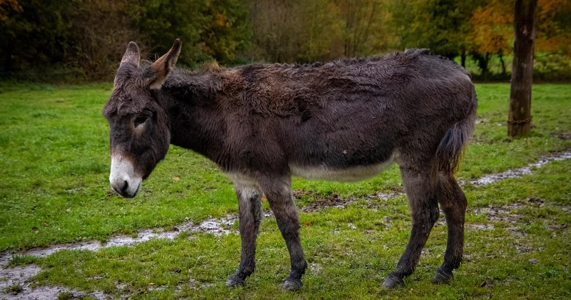 Männer Frisuren lang: wer wirklich lang tragen kann