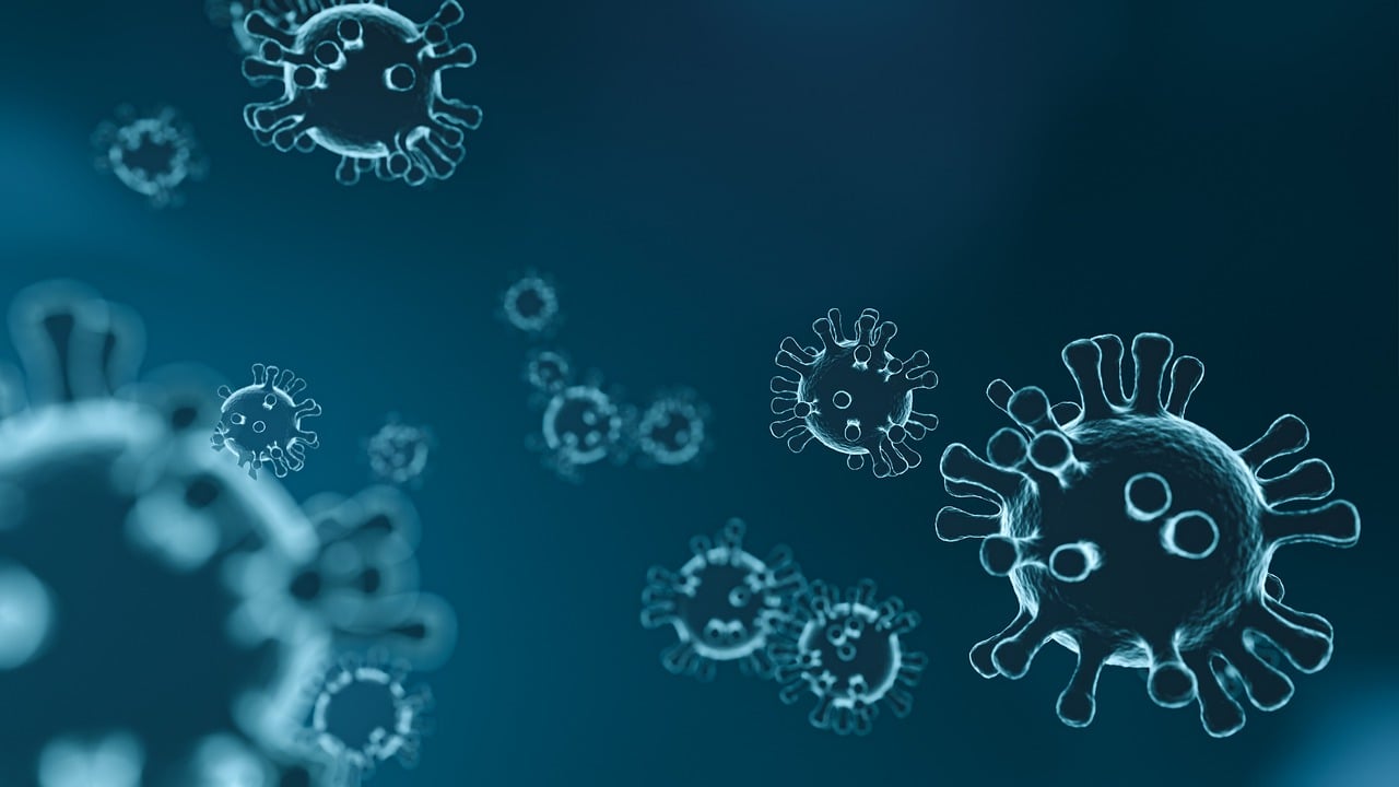 entdecken sie, wie das immunsystem ihren körper schützt. erfahren sie mehr über die funktion, stärkung und wichtige tipps rund um das immunsystem für ihre gesundheit.