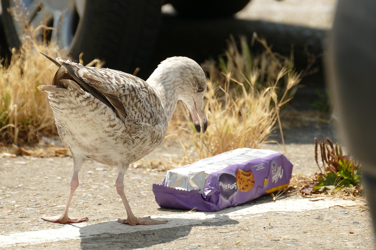 erfahren sie mehr über mikroplastik: definition, herkunft, auswirkungen auf umwelt und gesundheit sowie lösungsansätze im kampf gegen die mikroplastikverschmutzung.