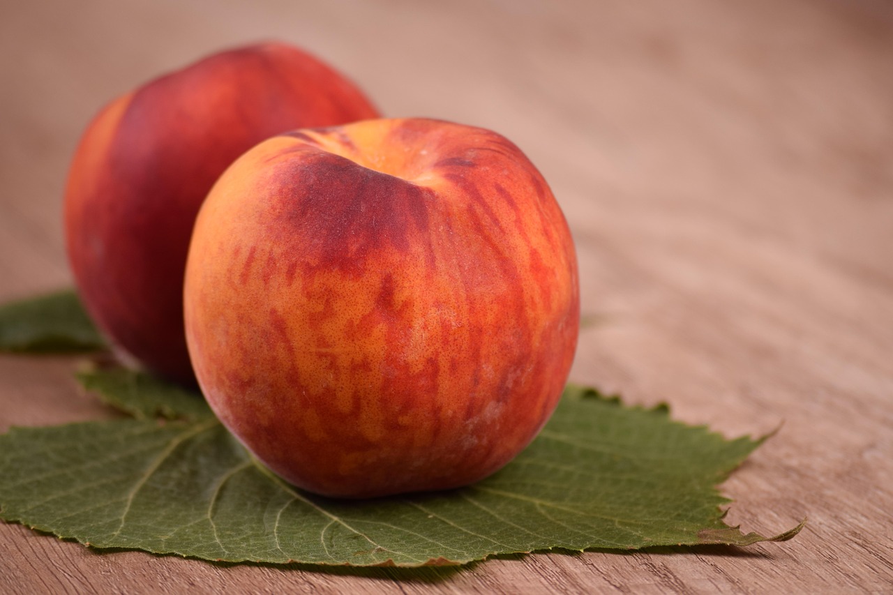 entdecken sie die neuesten trends der veganen mode: stilvolle, nachhaltige und tierfreie kleidung für einen bewussten lebensstil. finden sie inspiration und tipps zu veganen fashion-marken und fairem style!